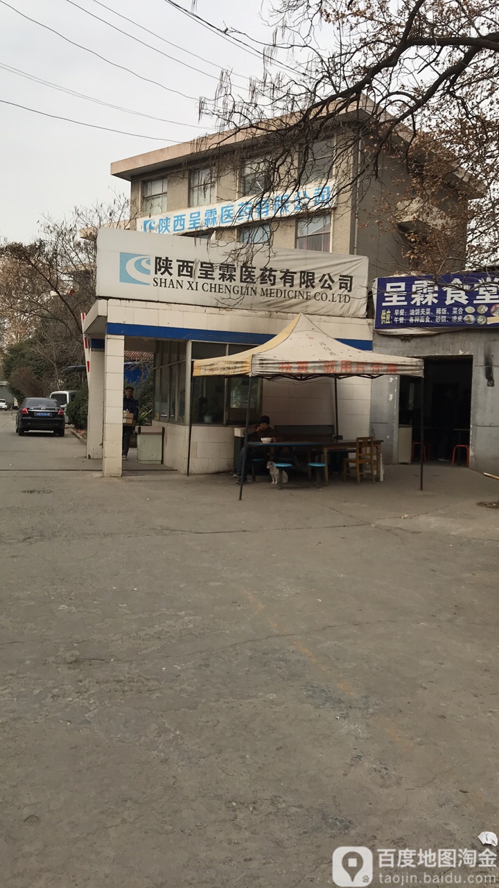 陕西呈霖医药